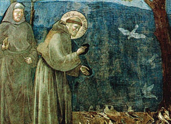 San francesco
