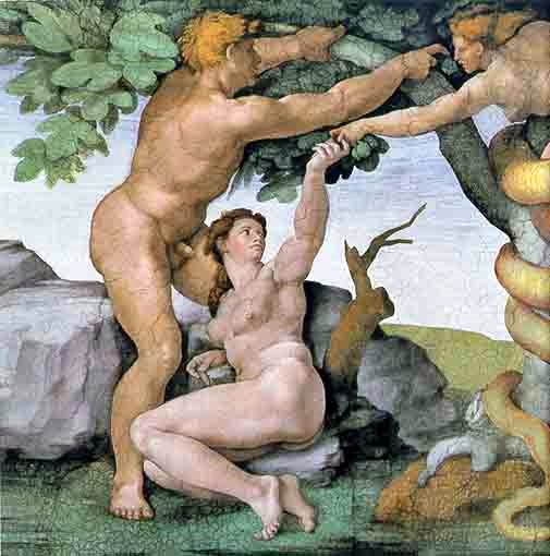 MICHELANGELO | LA CONCHIGLIA DI VENERE