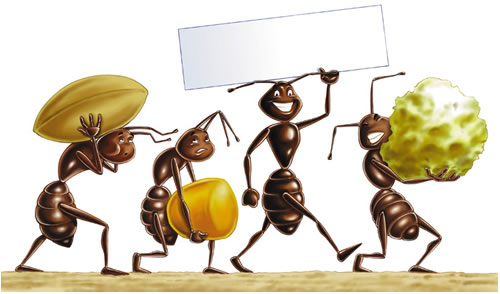 Ecco come le formiche si orientano nel deserto